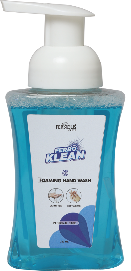 Foaming Handwash - Pack Of 2 (250 ML + 250 ML)